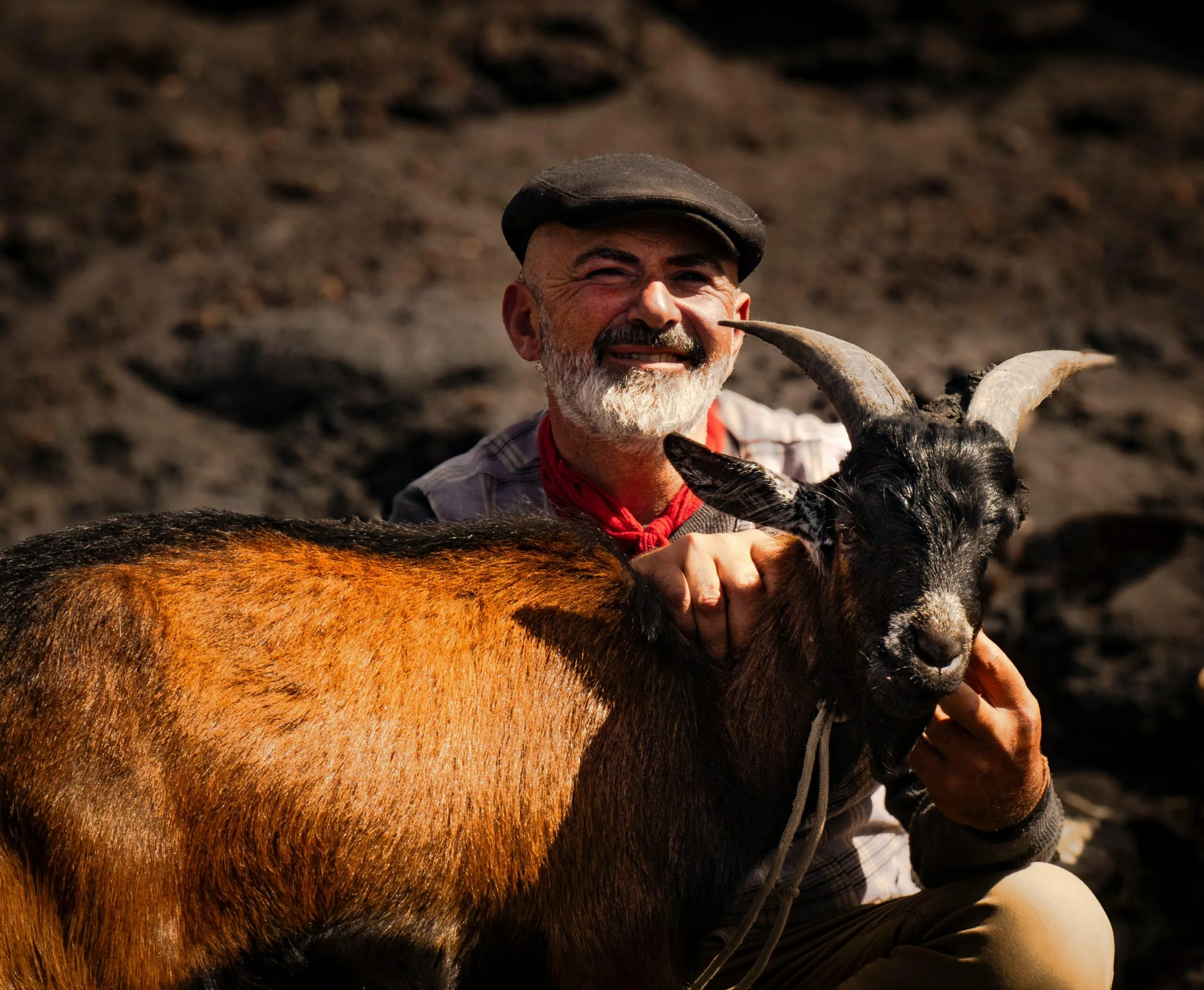 Community Experiences